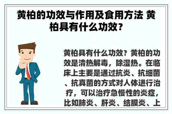 黄柏的功效与作用及食用方法 黄柏具有什么功效？